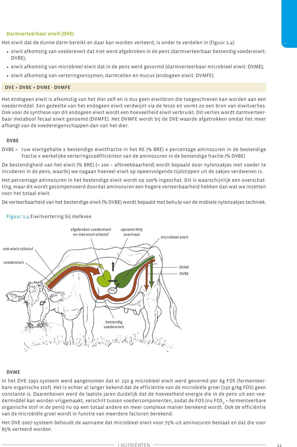 (darmverteerbaar microbieel eiwit: DVME); eiwit afkomstig van verteringsenzymen, darmcellen en mucus (endogeen eiwit: DVMFE).