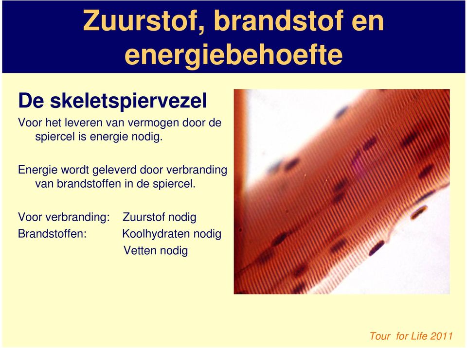 energiebehoefte Energie wordt geleverd door verbranding van