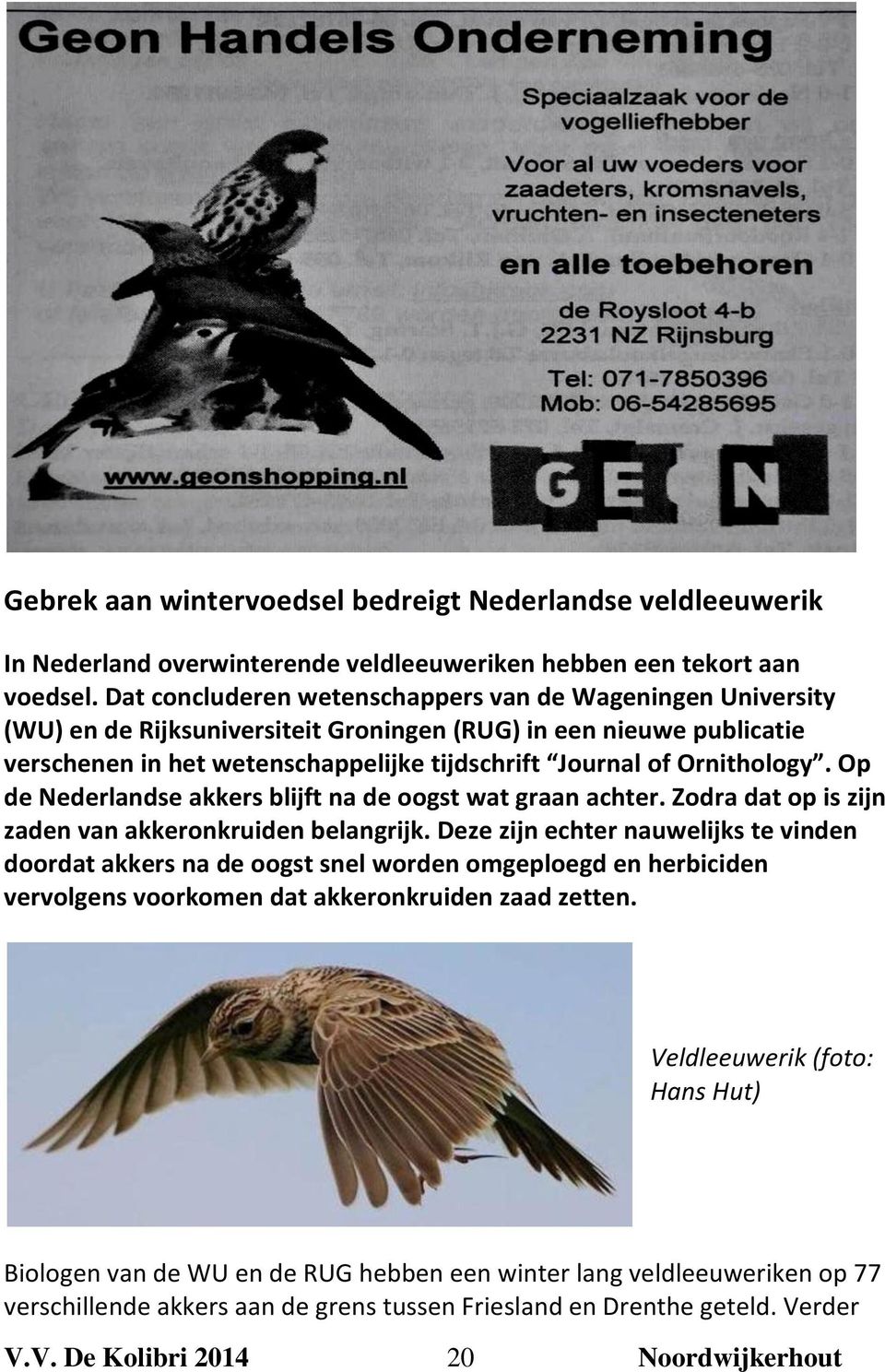 Ornithology. Op de Nederlandse akkers blijft na de oogst wat graan achter. Zodra dat op is zijn zaden van akkeronkruiden belangrijk.