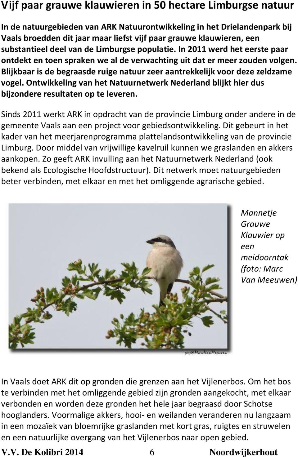 Blijkbaar is de begraasde ruige natuur zeer aantrekkelijk voor deze zeldzame vogel. Ontwikkeling van het Natuurnetwerk Nederland blijkt hier dus bijzondere resultaten op te leveren.