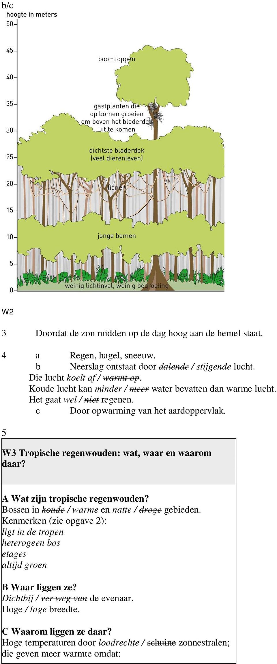 5 W3 Tropische regenwouden: wat, waar en waarom daar? A Wat zijn tropische regenwouden? Bossen in koude / warme en natte / droge gebieden.