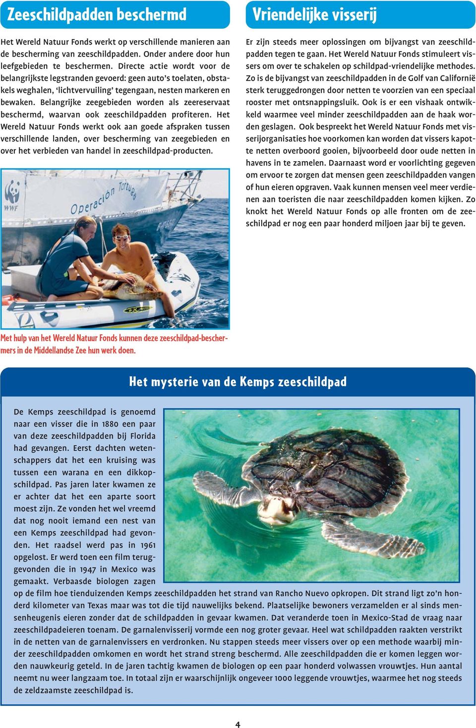 Belangrijke zeegebieden worden als zeereservaat beschermd, waarvan ook zeeschildpadden profiteren.