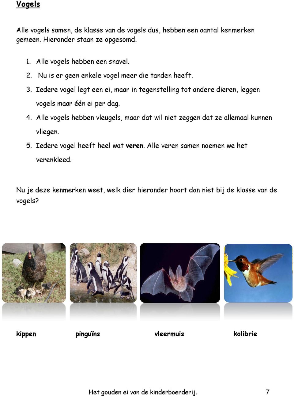 Alle vogels hebben vleugels, maar dat wil niet zeggen dat ze allemaal kunnen vliegen. 5. Iedere vogel heeft heel wat veren.