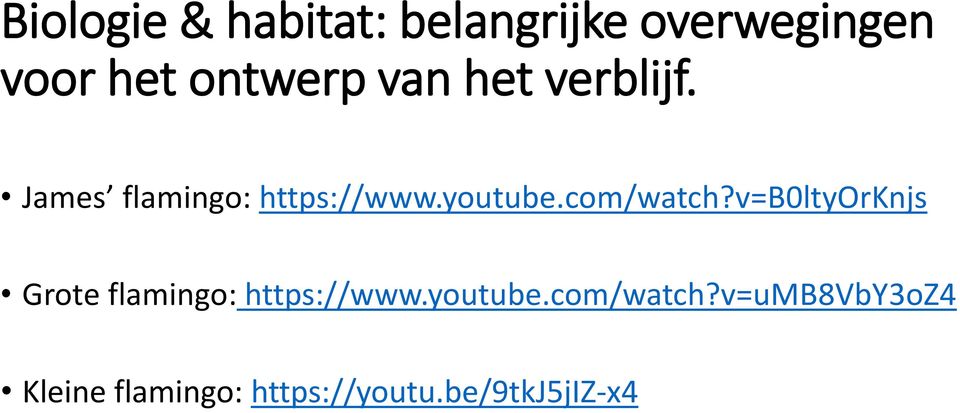 com/watch?v=b0ltyorknjs Grote flamingo: https://www.youtube.