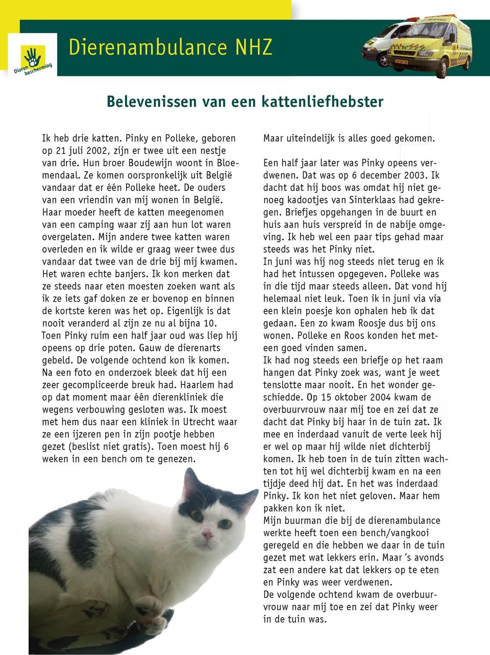 Haar moeder heeft de katten meegenomen van een camping waar zij aan hun lot waren overgelaten.