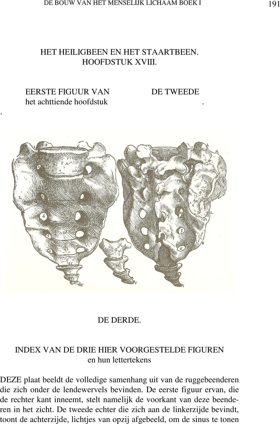 INDEX VAN DE DRIE HIER VOORGESTELDE FIGUREN en hun lettertekens DEZE plaat beeldt de volledige samenhang uit van de ruggebeenderen die zich