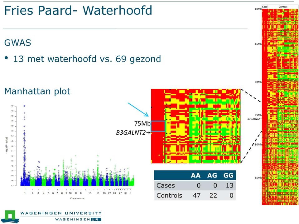 met waterhoofd vs.