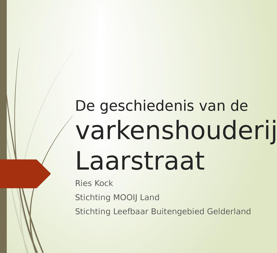 Ries Kock Stichting MOOIJ Land