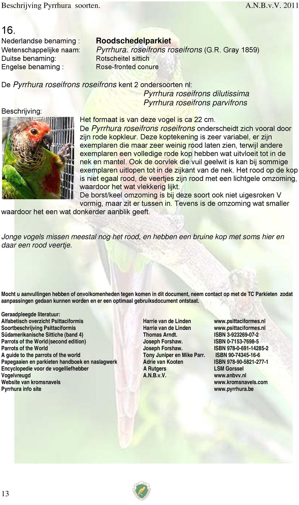 Gray 1859) Rotscheitel sittich Engelse benaming : Rose-fronted conure De Pyrrhura roseifrons roseifrons kent 2 ondersoorten nl: Pyrrhura roseifrons dilutissima Pyrrhura roseifrons parvifrons Het