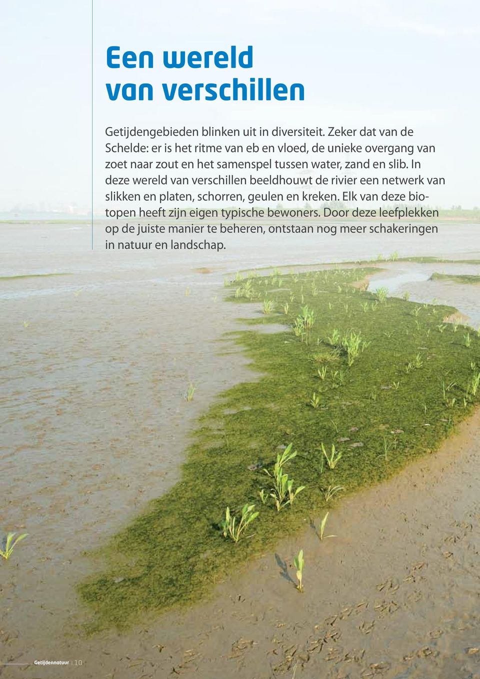 zand en slib. In deze wereld van verschillen beeldhouwt de rivier een netwerk van slikken en platen, schorren, geulen en kreken.