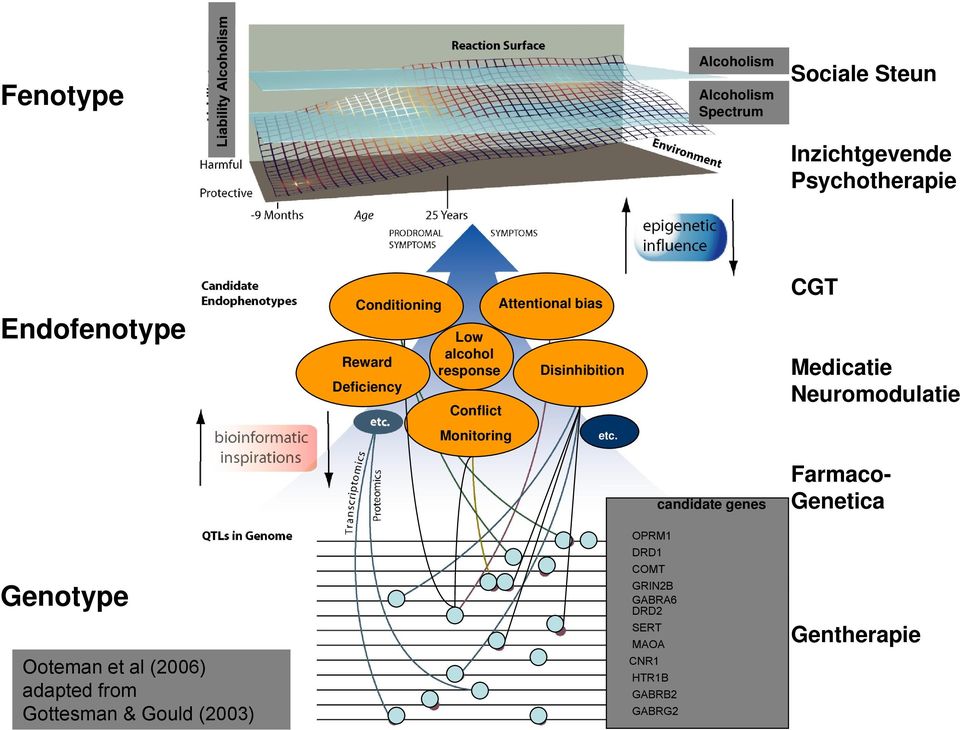 etc. CGT Medicatie Neuromodulatie Genotype Ooteman et al (2006) adapted from Gottesman & Gould (2003)