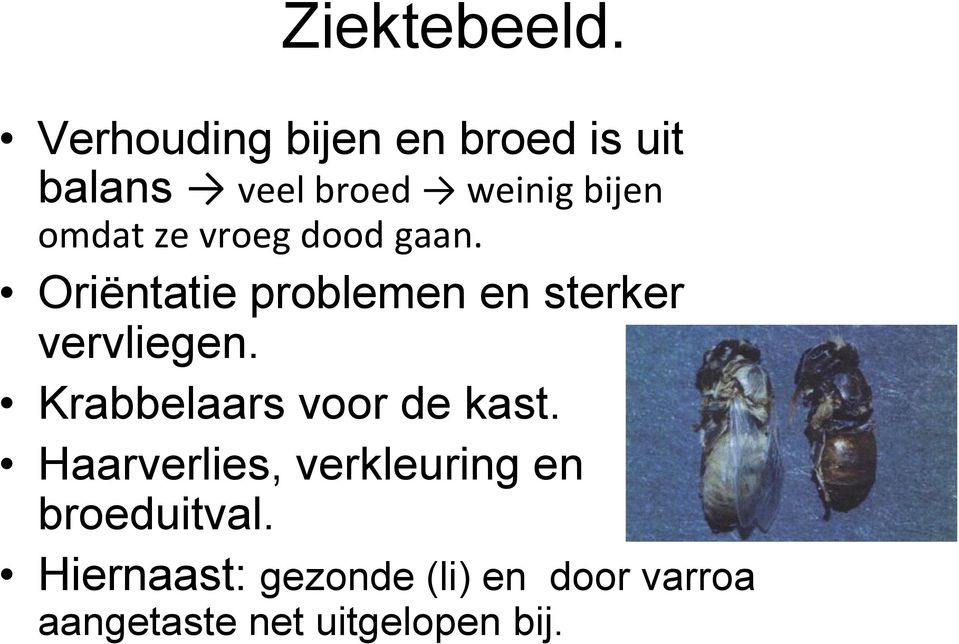 ze vroeg dood gaan. Oriëntatie problemen en sterker vervliegen.