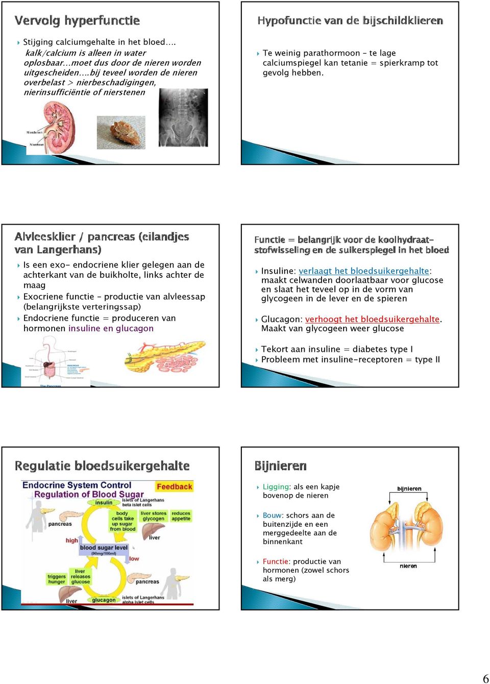 Is een exo- endocriene klier gelegen aan de achterkant van de buikholte, links achter de maag Exocriene functie productie van alvleessap (belangrijkste verteringssap) Endocriene functie = produceren