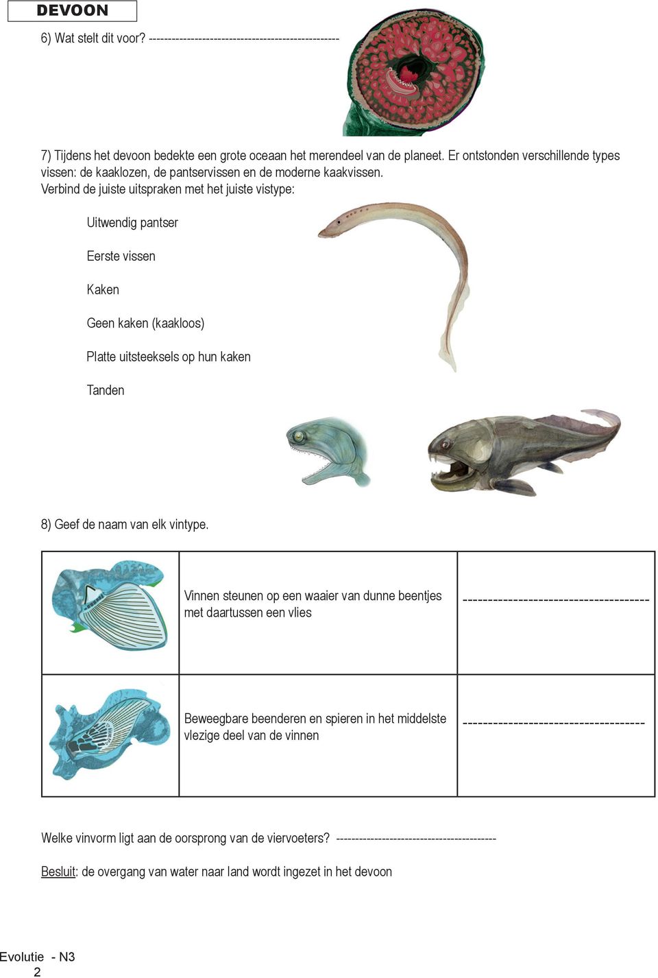 Verbind de juiste uitspraken met het juiste vistype: Uitwendig pantser Eerste vissen Kaken Geen kaken (kaakloos) Platte uitsteeksels op hun kaken Tanden 8) Geef de naam van elk vintype.