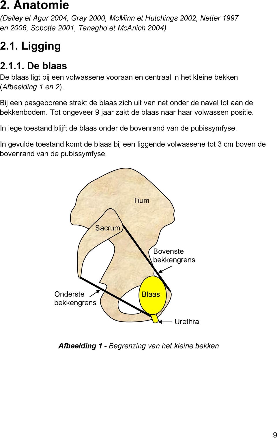 Bij een pasgeborene strekt de blaas zich uit van net onder de navel tot aan de bekkenbodem. Tot ongeveer 9 jaar zakt de blaas naar haar volwassen positie.