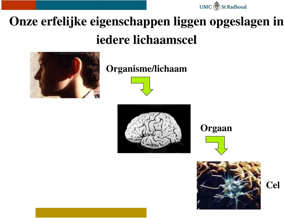 opgeslagen in iedere