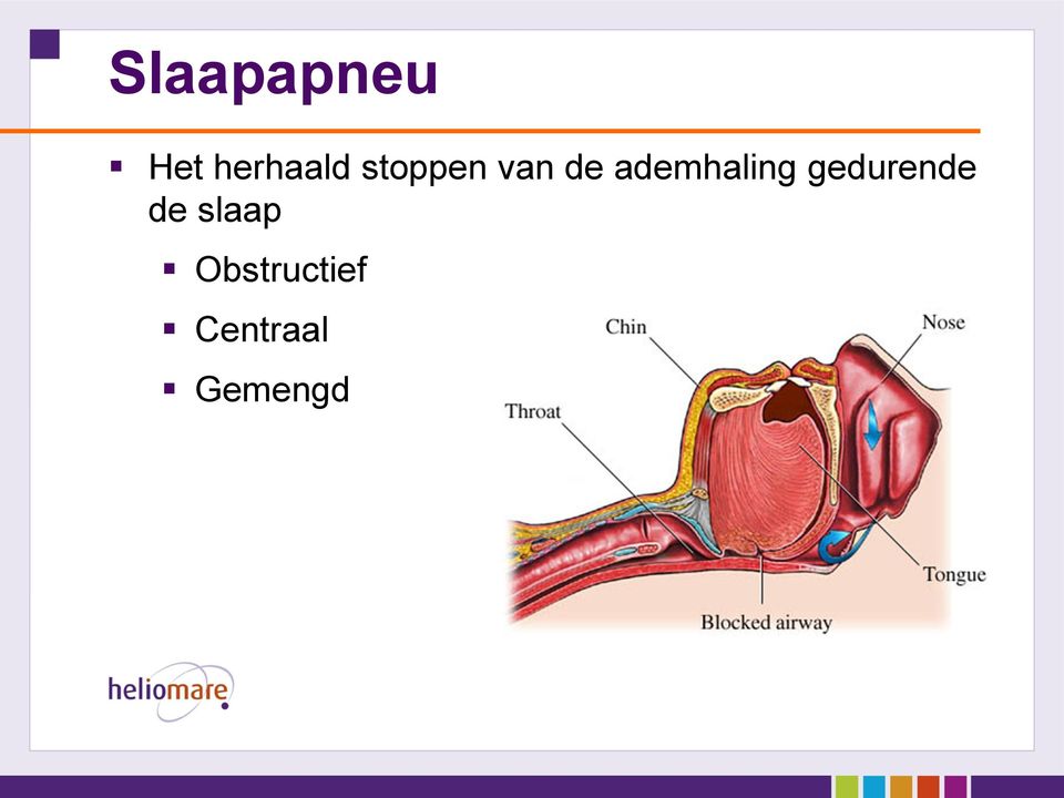 ademhaling gedurende de