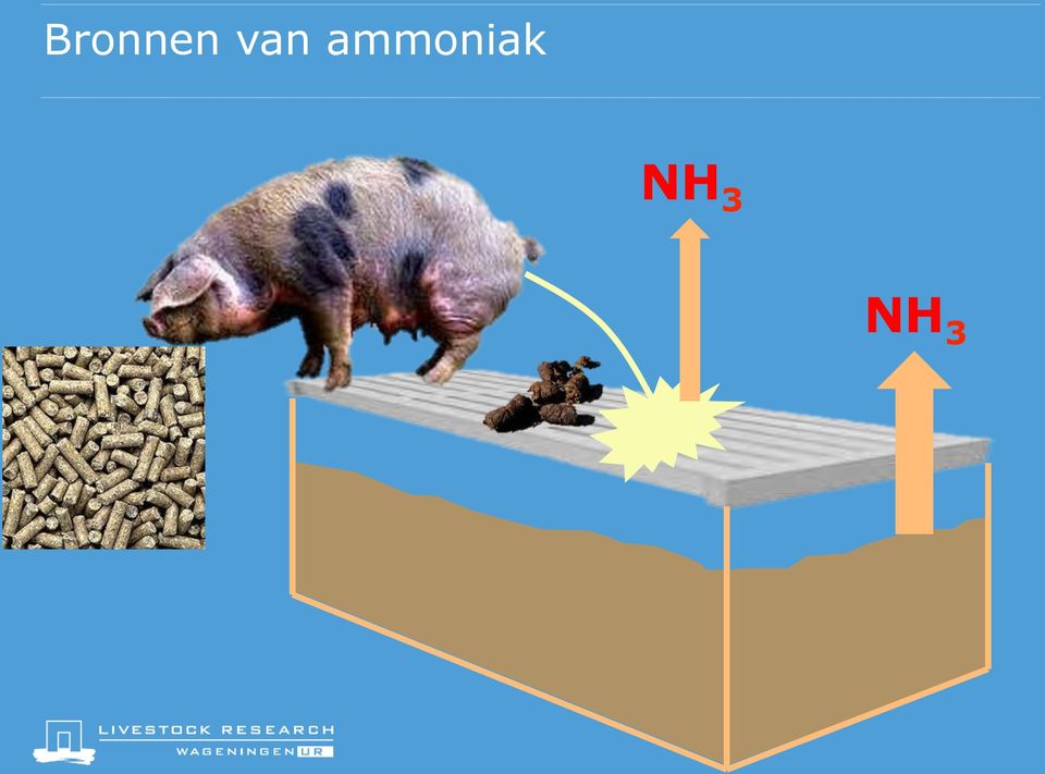 ammoniak