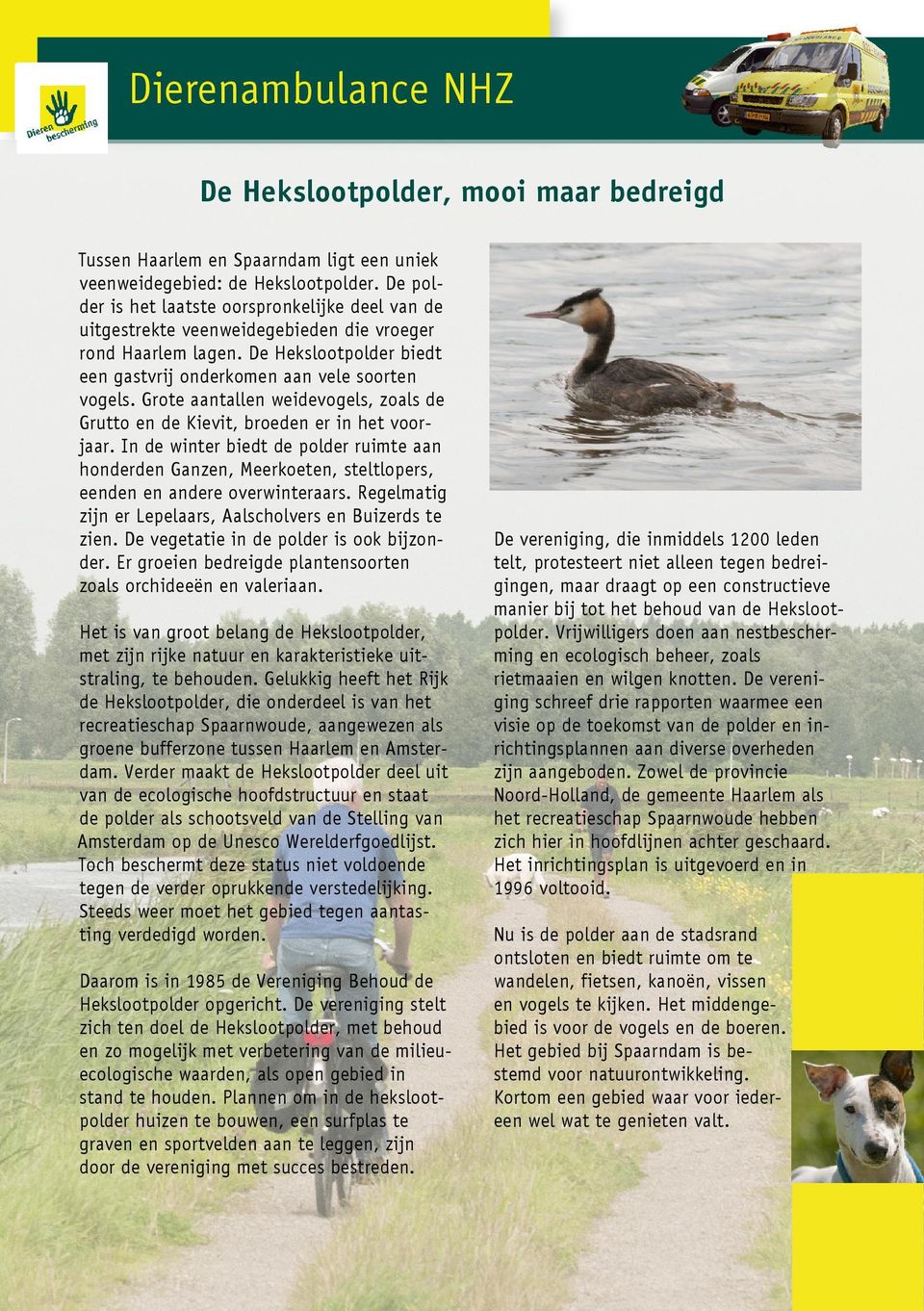 Grote aantallen weidevogels, zoals de Grutto en de Kievit, broeden er in het voorjaar.