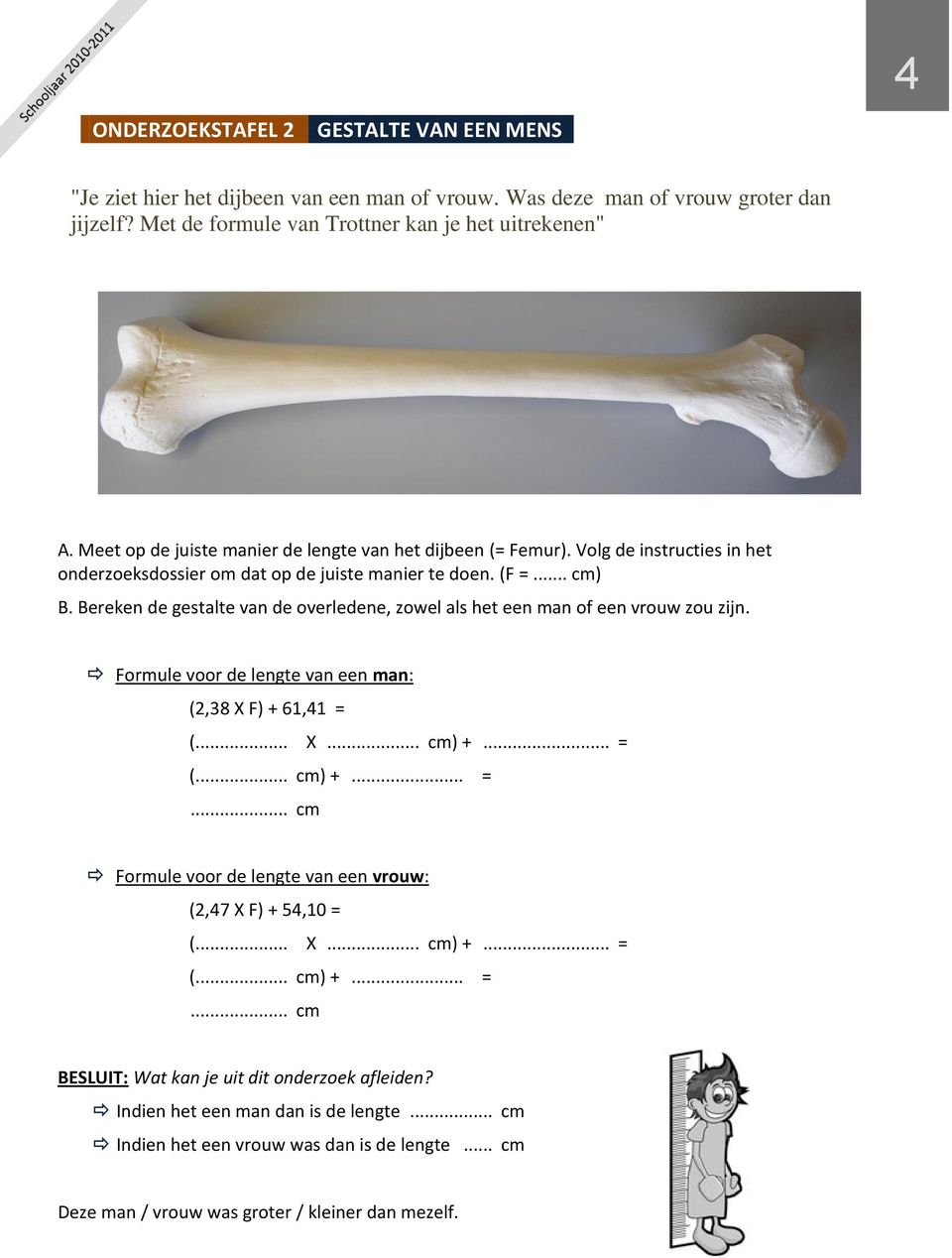 Bereken de gestalte van de overledene, zowel als het een man of een vrouw zou zijn. Formule voor de lengte van een man: (2,38 X F) + 61,41 = 