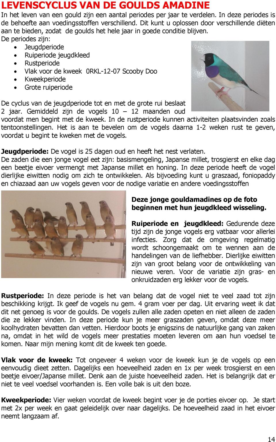 De periodes zijn: Jeugdperiode Ruiperiode jeugdkleed Rustperiode Vlak voor de kweek 0RKL-12-07 Scooby Doo Kweekperiode Grote ruiperiode De cyclus van de jeugdperiode tot en met de grote rui beslaat 2