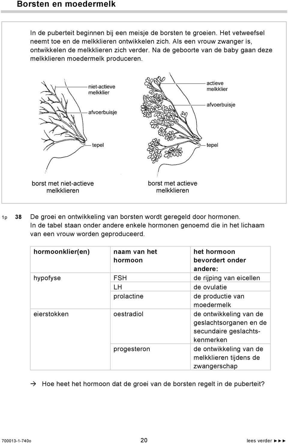 niet actieve melkklier afvoerbuisje actieve melkklier afvoerbuisje tepel tepel borst met niet-actieve melkklieren borst met actieve melkklieren 1p 38 De groei en ontwikkeling van borsten wordt