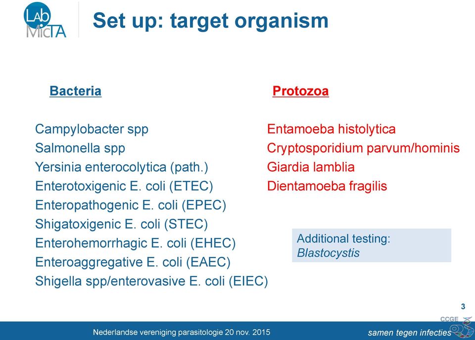 coli (STEC) Enterohemorrhagic E. coli (EHEC) Enteroaggregative E. coli (EAEC) Shigella spp/enterovasive E.