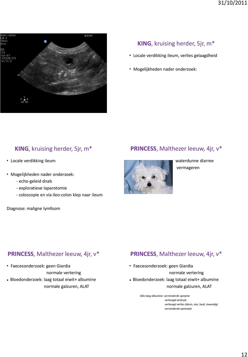 Malthezer leeuw, 4jr, v* Faecesonderzoek: geen Giardia normale vertering Bloedonderzoek: laag totaal eiwit+ albumine normale galzuren, ALAT PRINCESS, Malthezer leeuw, 4jr, v* Faecesonderzoek: geen