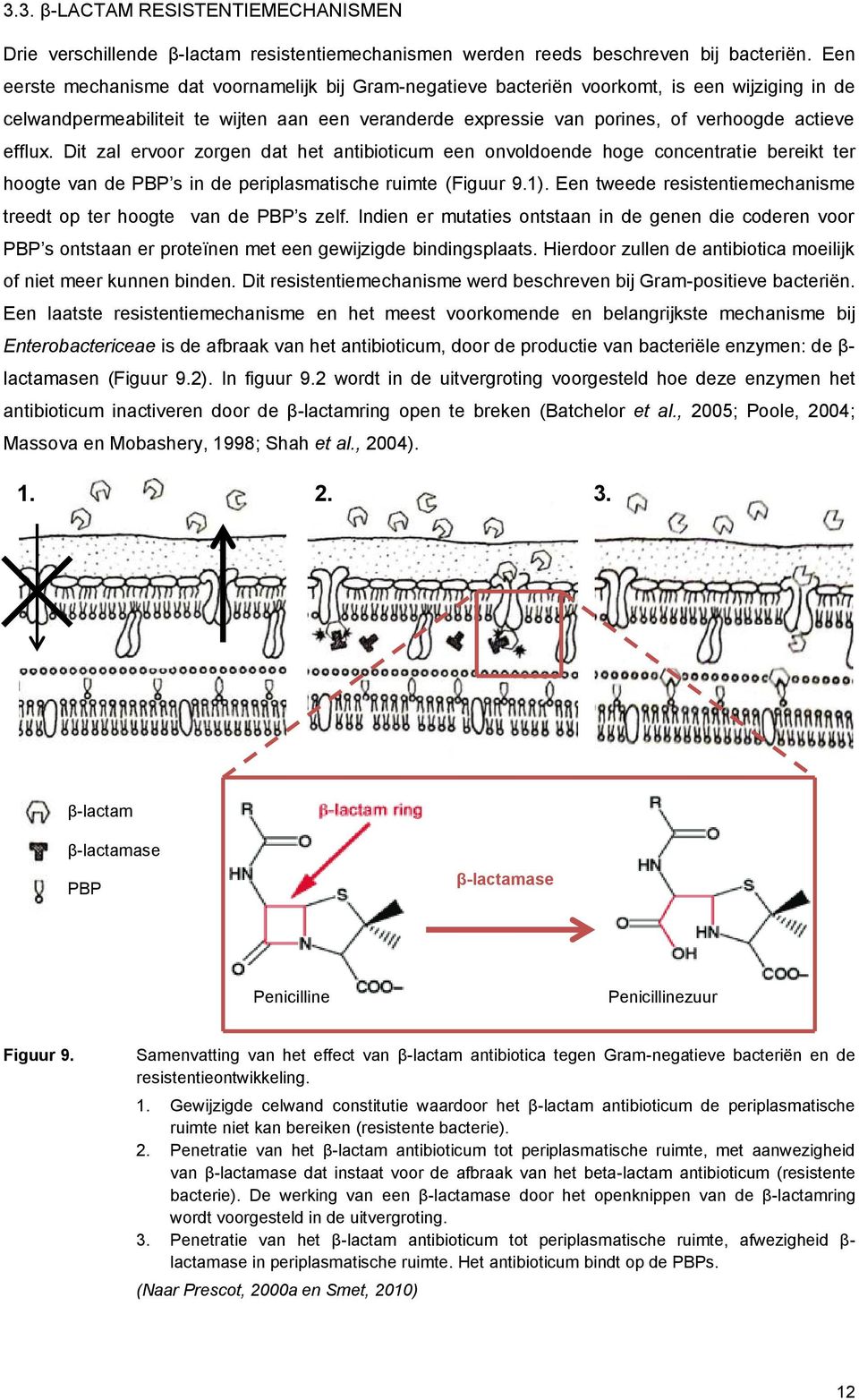 efflux. Dit zal ervoor zorgen dat het antibioticum een onvoldoende hoge concentratie bereikt ter hoogte van de PBP s in de periplasmatische ruimte (Figuur 9.1).