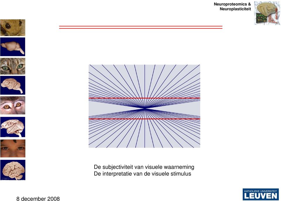 waarneming De