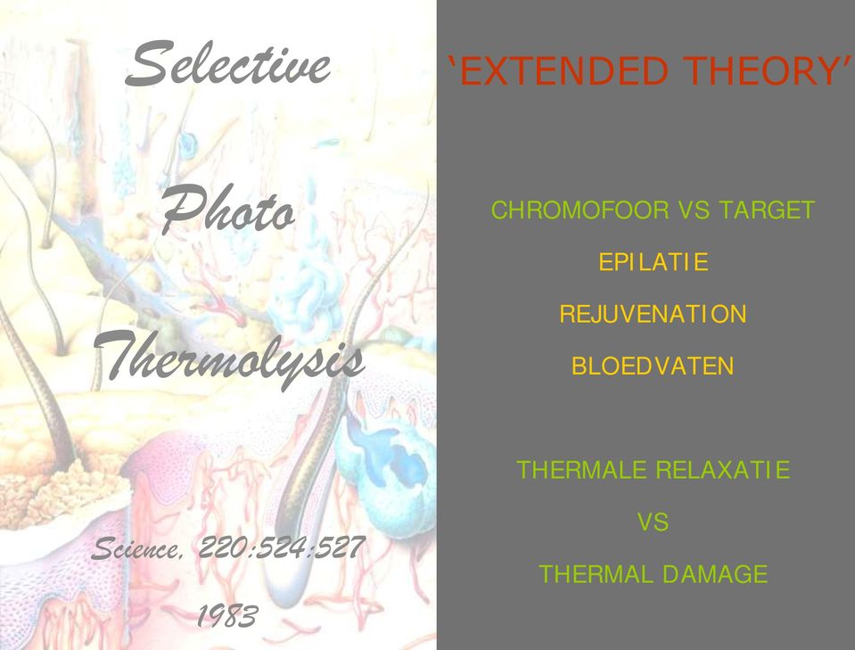 Thermolysis REJUVENATION BLOEDVATEN