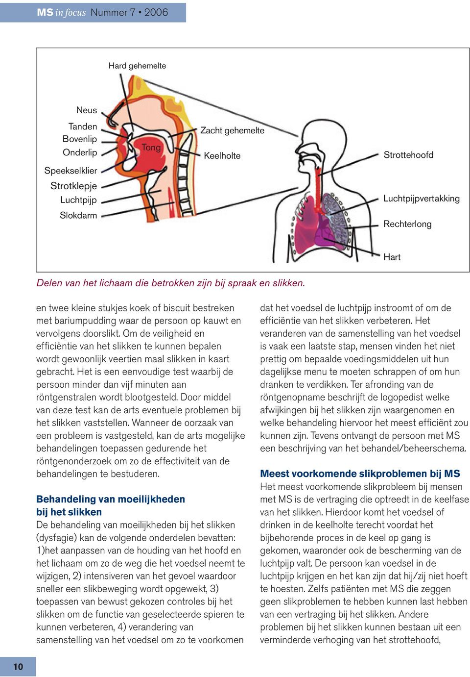 Om de veiligheid en efficiëntie van het slikken te kunnen bepalen wordt gewoonlijk veertien maal slikken in kaart gebracht.