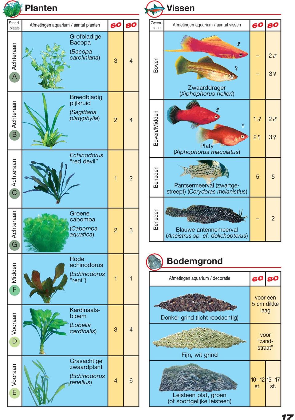 (zwartgestreept) (Corydoras melanistius) 1 2 2 3 5 5 Achteraan G Groene cabomba (Cabomba aquatica) 2 3 Beneden Blauwe antennemeerval (Ancistrus sp. cf.