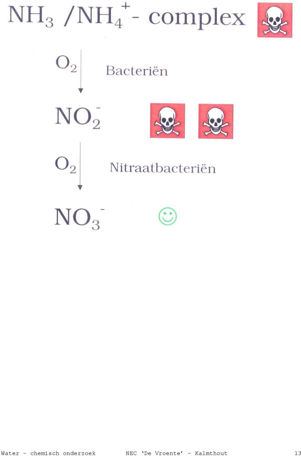 onderzoek NEC