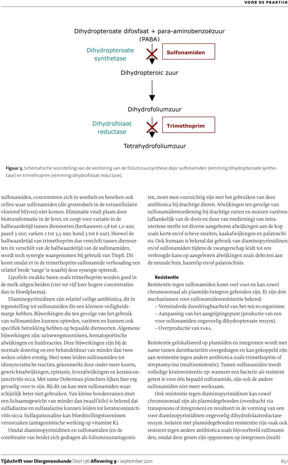 Eliminatie vindt plaats door biotransformatie in de lever, en zorgt voor variatie in de halfwaardetijd tussen diersoorten (herkauwers 0,8 tot 1,0 uur; paard 3 uur; varken 2 tot 3,5 uur; hond 3 tot 6