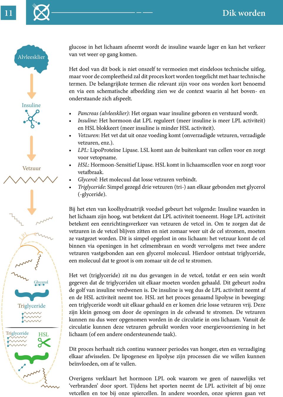 De belangrijkste termen die relevant zijn voor ons worden kort benoemd en via een schematische afbeelding zien we de context waarin al het boven- en onderstaande zich afspeelt.