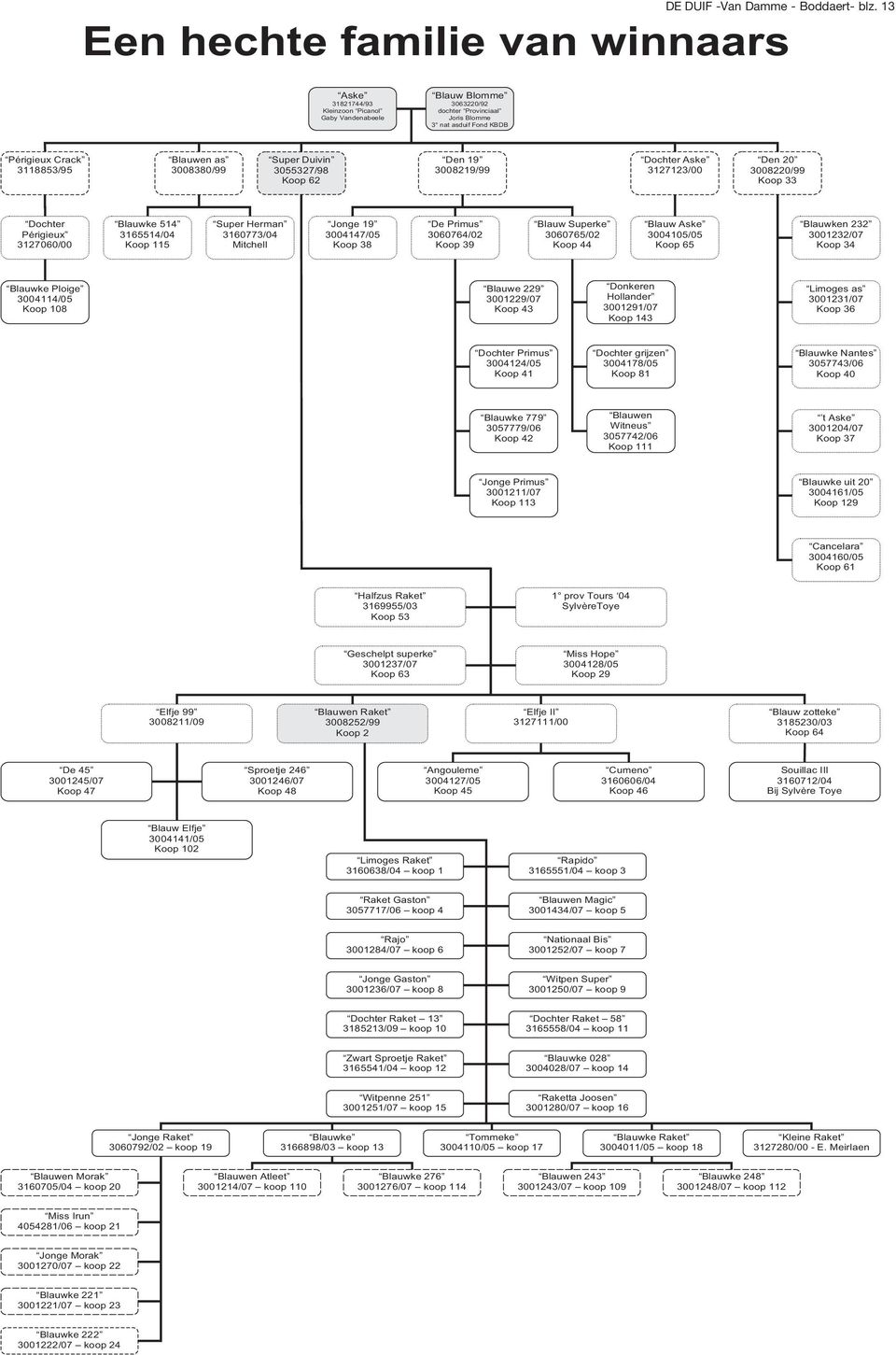Blauwen as 3008380/99 Super Duivin 3055327/98 Koop 62 Den 19 3008219/99 Dochter Aske 3127123/00 Den 20 3008220/99 Koop 33 Dochter Périgieux 3127060/00 Blauwke 514 3165514/04 Koop 115 Super Herman