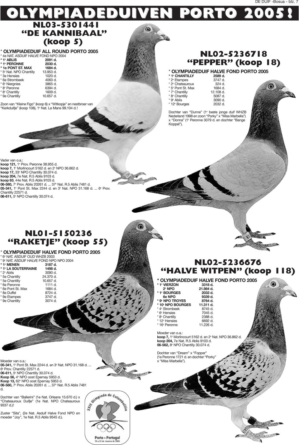 Zoon van Kleine Figo (koop 6) x Witkopje en nestbroer van Kerkduifje (koop 108), 1 e Nat. Le Mans 99.104 d.! DE DUIF -Bosua - blz. 7 OLYMPIADEDUIVEN PORTO O 2005!