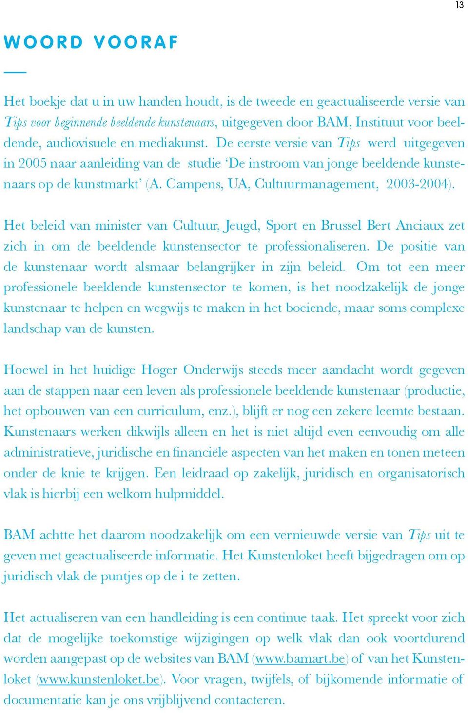 Campens, UA, Cultuurmanagement, 2003-2004). Het beleid van minister van Cultuur, Jeugd, Sport en Brussel Bert Anciaux zet zich in om de beeldende kunstensector te professionaliseren.