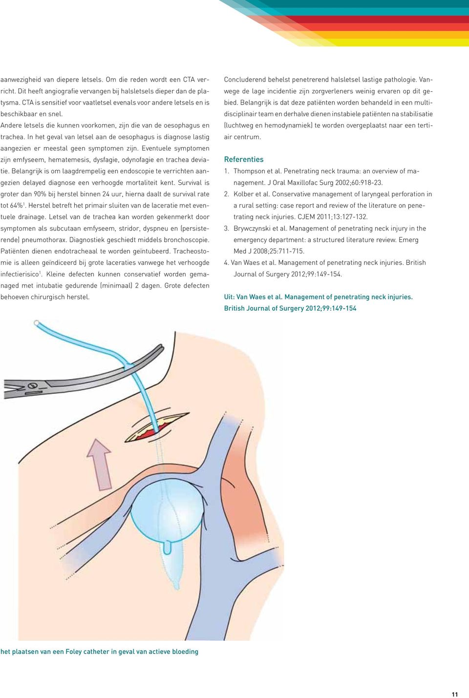 In het geval van letsel aan de oesophagus is diagnose lastig aangezien er meestal geen symptomen zijn. Eventuele symptomen zijn emfyseem, hematemesis, dysfagie, odynofagie en trachea deviatie.