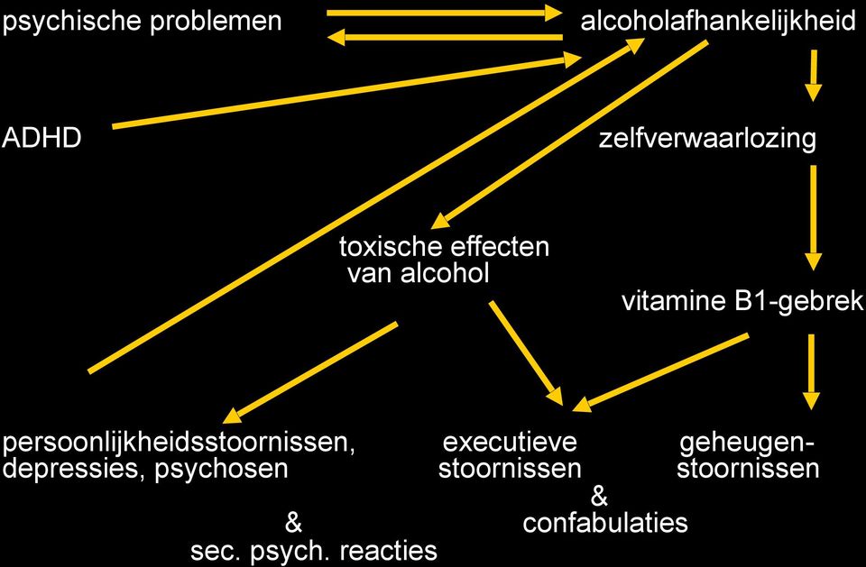 B1-gebrek persoonlijkheidsstoornissen, executieve