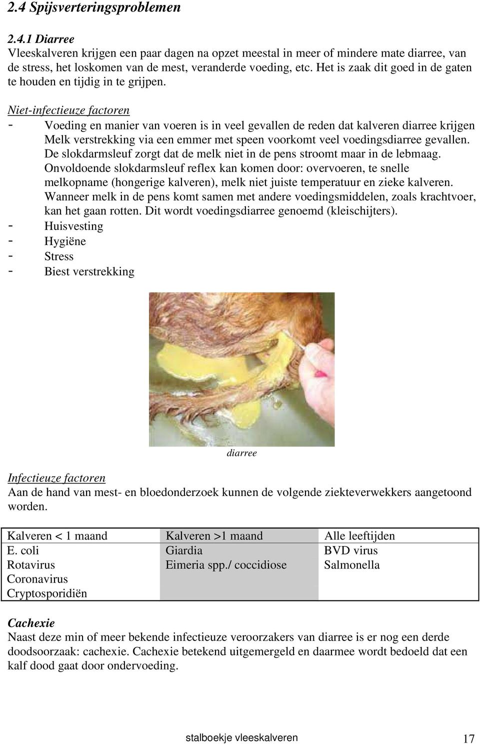 Niet-infectieuze factoren - Voeding en manier van voeren is in veel gevallen de reden dat kalveren diarree krijgen Melk verstrekking via een emmer met speen voorkomt veel voedingsdiarree gevallen.