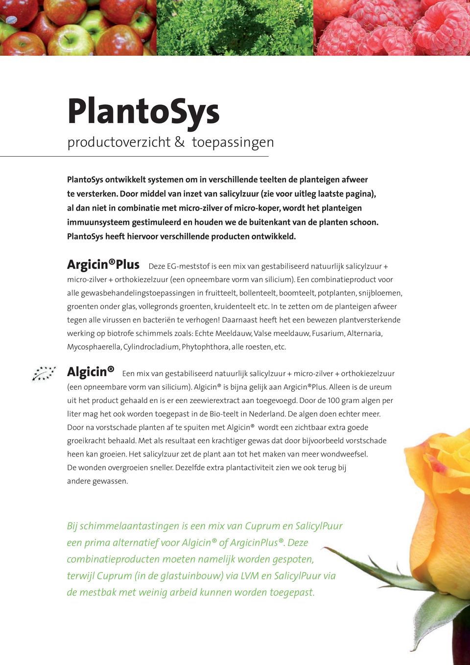 buitenkant van de planten schoon. PlantoSys heeft hiervoor verschillende producten ontwikkeld.