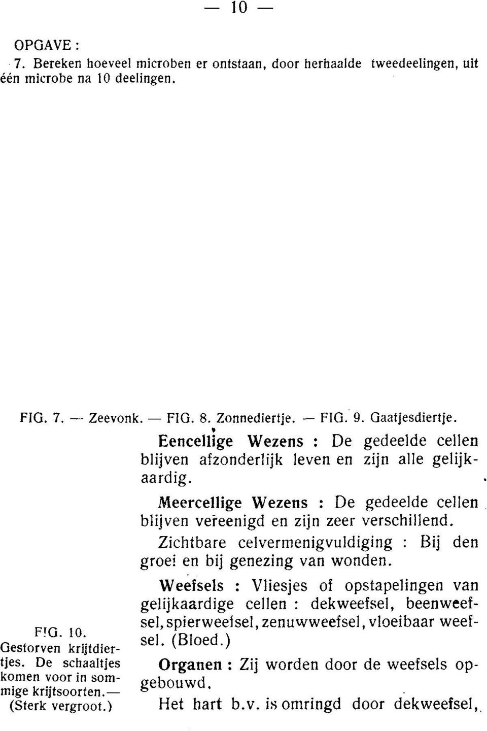 FIG. 8. Zonnediertje. FIG. 9. Gaatjesdiertje. Eencellige Wezens : De gedeelde cellen blijven afzonderlijk leven en zijn alle gelijkaardig. FTG. 10. Gestorven krijtdiertjes.