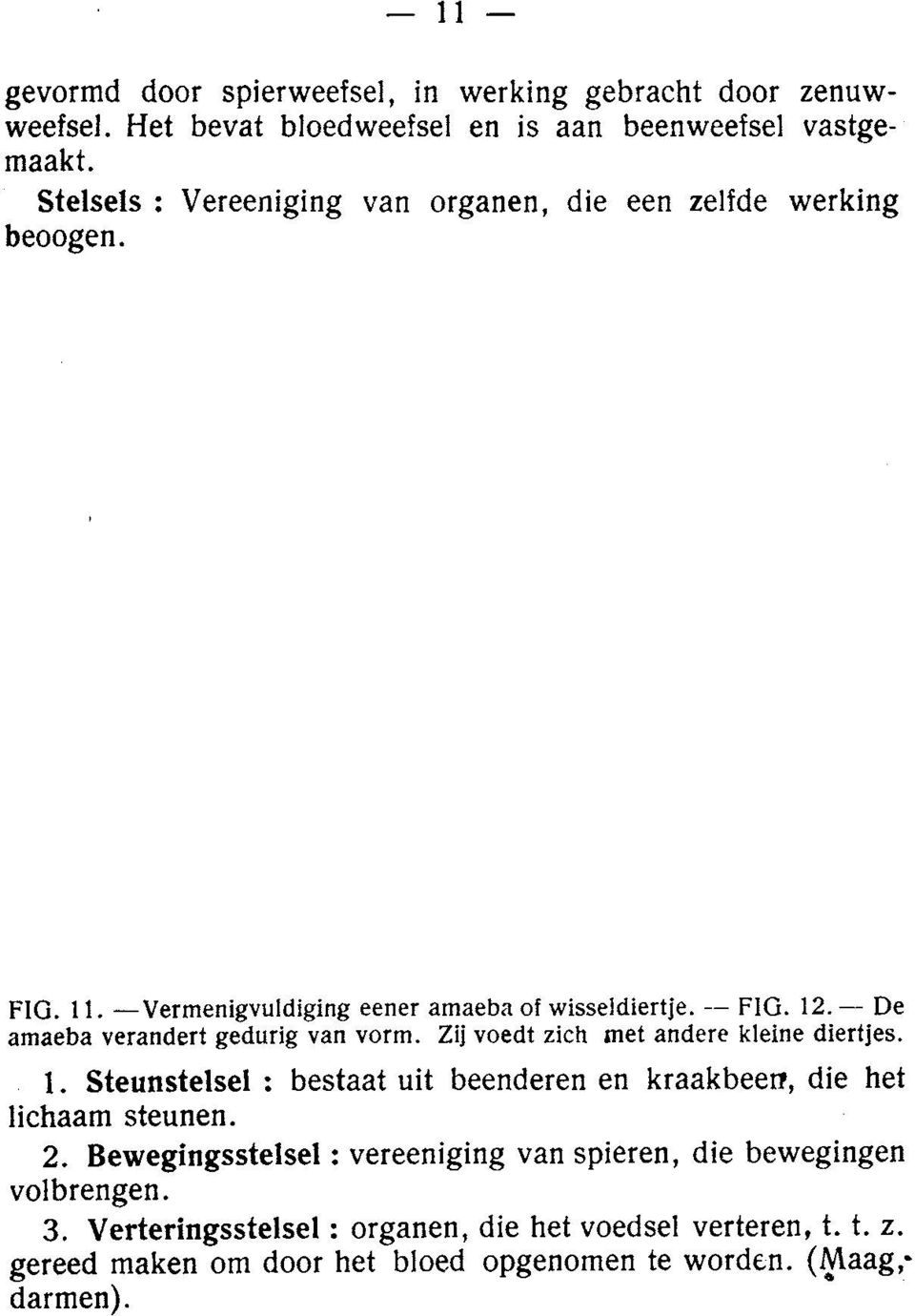 De amaeba verandert gedurig van vorm. Zij voedt zich met andere kleine diertjes. 1. Steunstelsel : bestaat uit beenderen en kraakbeerr, die het lichaam steunen. 2.