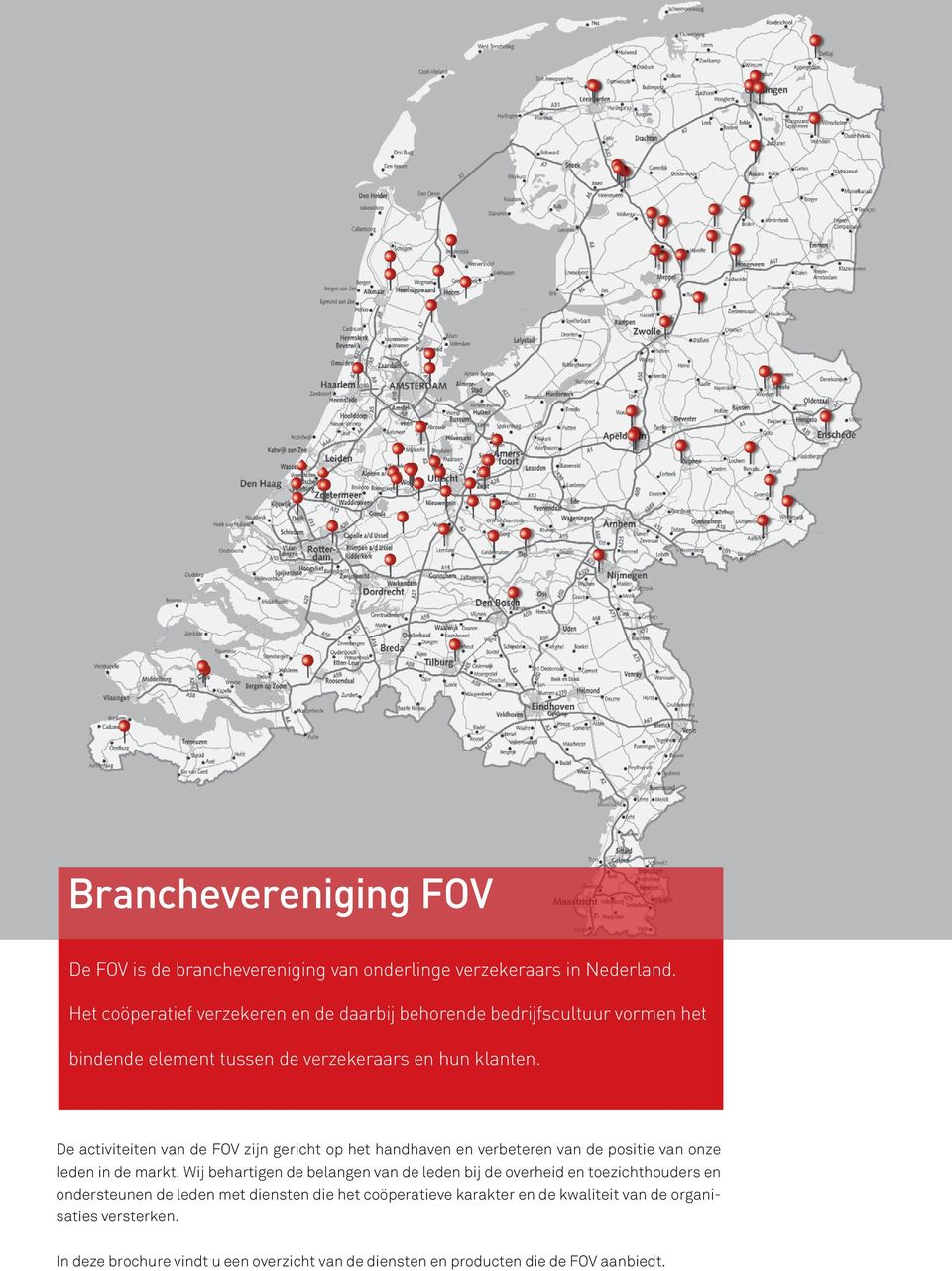 De activiteiten van de FOV zijn gericht op het handhaven en verbeteren van de positie van onze leden in de markt.