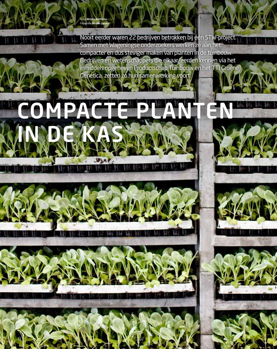 Samen met Wageningse onderzoekers werken ze aan het compacter en dus steviger maken van planten in de