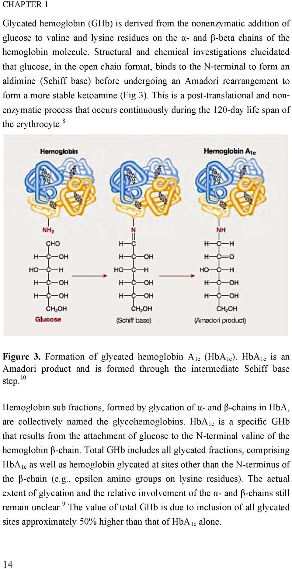 a more stable ketoamine (Fig 3). This is a post-translational and nonenzymatic process that occurs continuously during the 120-day life span of the erythrocyte. 8 Figure 3.