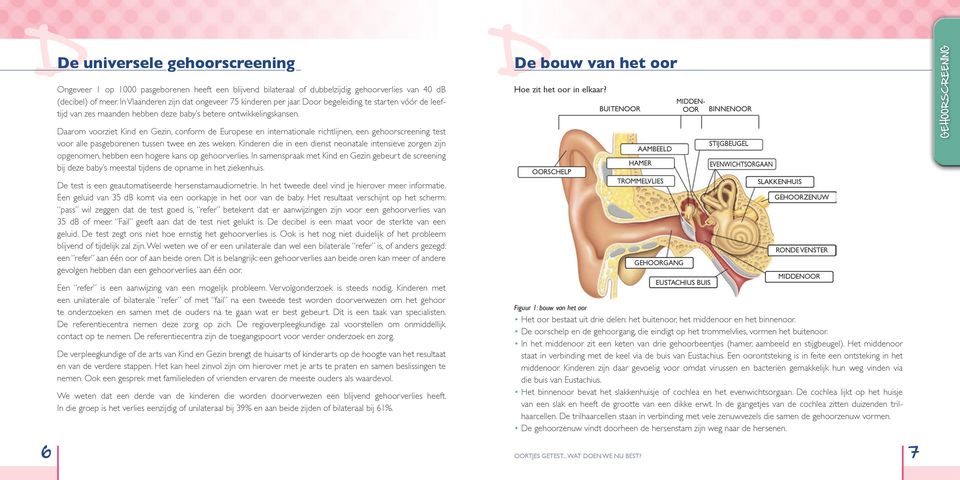 6 Daarom voorziet Kind en Gezin, conform de Europese en internationale richtlijnen, een gehoorscreening test voor alle pasgeborenen tussen twee en zes weken.