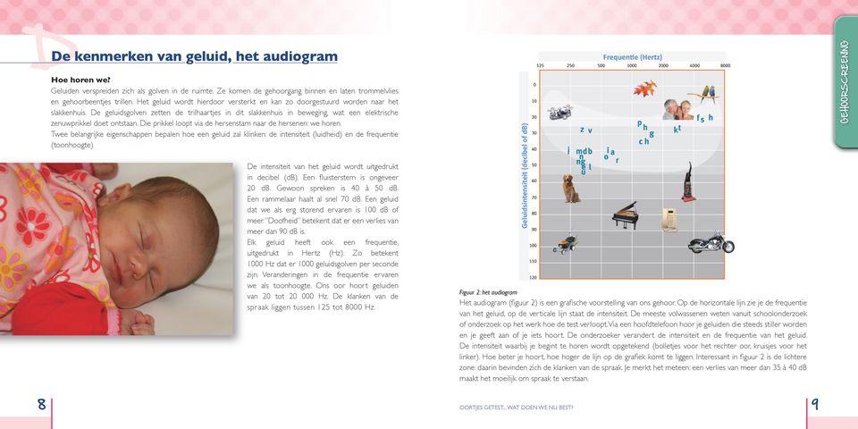 De geluidsgolven zetten de trilhaartjes in dit slakkenhuis in beweging, wat een elektrische zenuwprikkel doet ontstaan. Die prikkel loopt via de hersenstam naar de hersenen: we horen.